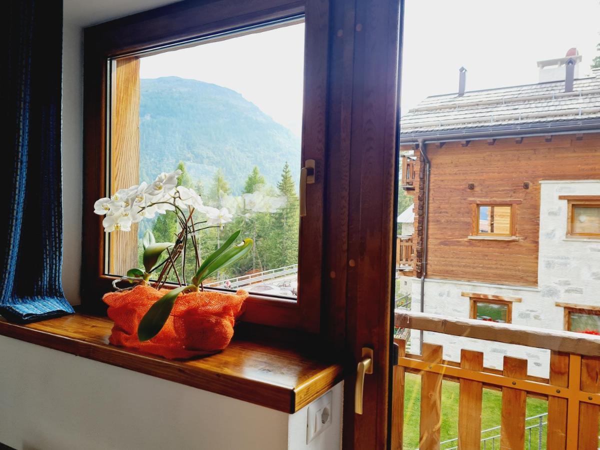 Chalet Selva Isolaccia Exteriér fotografie